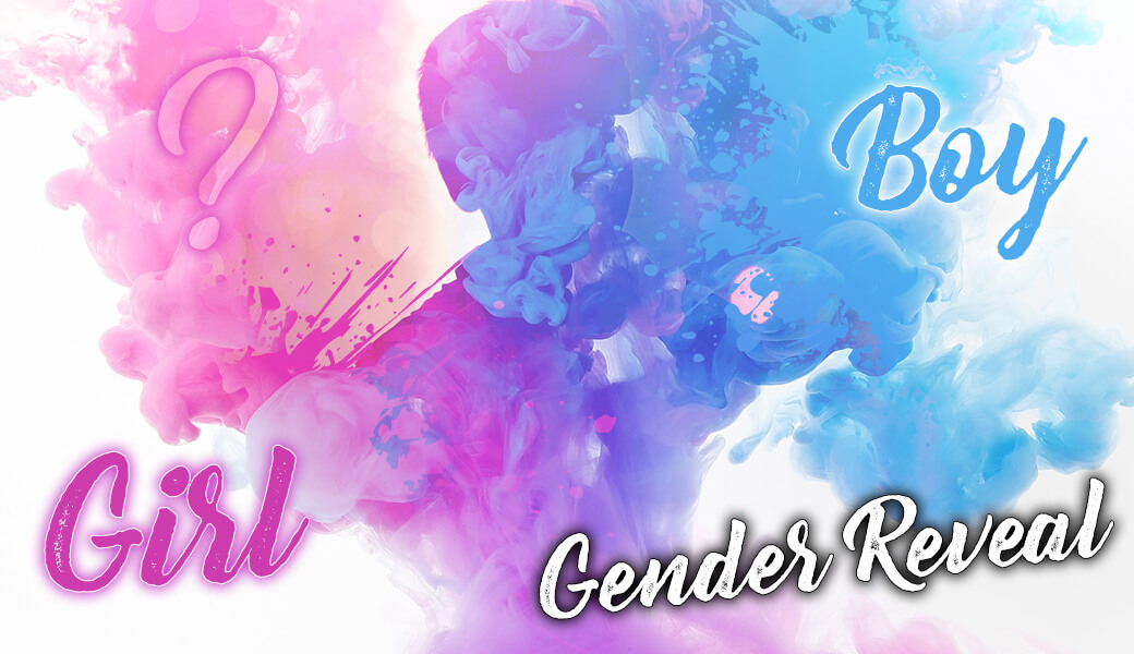 Gender Reveal Party Bild