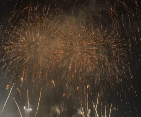 Las Fallas 2025 - News | Las Fallas 2025