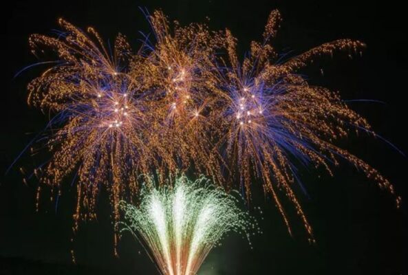 Bengalissima: Das Power-Finale für Silvester - Bengalissima: Das Power-Finale für Silvester