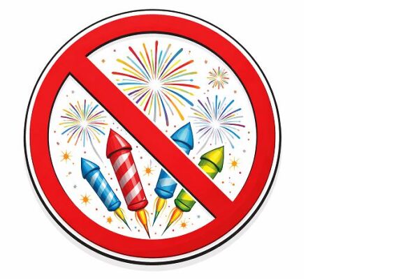Feuerwerksdebatte: bvpk kritisiert pauschale Verbotsforderungen - bvpk kritisiert Feuerwerksverbotsforderungen