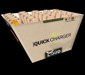 Quick Charger 25-Schuss-Feuerwerk-Batterie 8er Pack (Stahlkäfig)