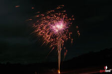 Gräte Thunfisch 9-Schuss-Feuerwerk-Batterie