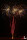 Edelpaket 36-Schuss-Feuerwerk-Batterie
