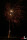 Spicecube 42-Schuss-Feuerwerk-Batterie