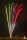 Spicecube 42-Schuss-Feuerwerk-Batterie