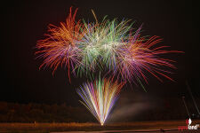 Night Nurse Neon 25-Schuss-Feuerwerk-Batterie