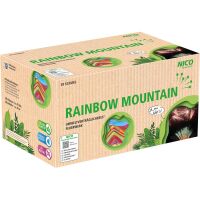 Rainbow Mountain 49-Schuss-Feuerwerk-Batterie