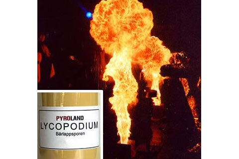 Lycopodium 250g Lycopodium (Bärlappsporen) für Feuerbälle, Flammenwerfer, Flammenprojektoren und Explosionseffekte. Auch zum Feuerspucken sehr gut geeignet. Lycopodium ist unzerstäubt nicht brennbar und gesundheitlich unbedenklich. Beste Qualität. 250g in der Kunststoffflasche.