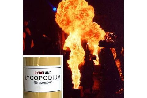 Schwer Lycopodium Qualitätsstufe Schwer 1Kg