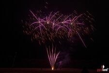 Neidfall 25-Schuss-Feuerwerk-Batterie