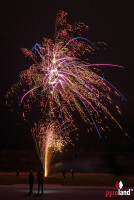 Delicious Dragon 36-Schuss-Feuerwerk-Batterie