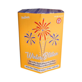 Winter Blüten 19-Schuss-Feuerwerk-Batterie
