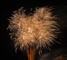 Compazz Willows 125-Schuss-Feuerwerkverbund