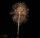 Single Bells Bombenrohr Checkercracker