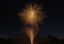 Dragon Dust Willows 16-Schuss-Feuerwerks-Batterie