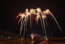 Cotton Tree Drive 25-Schuss-Feuerwerk-Batterie