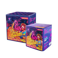 Flamingo Flamethrower 25-Schuss-Feuerwerk-Batterie