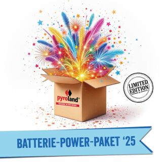 Batterie-Power-Paket
