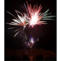 Desert Rose 25-Schuss-Feuerwerk-Batterie