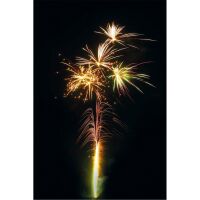 Forest Ranger 19-Schuss-Feuerwerk-Batterie