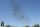 Deutschlandregen 80cm Papierflitter 20er Bundle