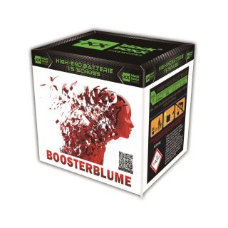 Boosterblume 15-Schuss-Feuerwerk-Batterie
