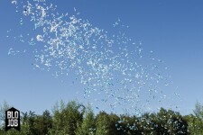 Blu(e)terguss 50cm Papierflitter blau-weiß