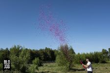 Pimmel Himmel 80cm Papierflitter pink