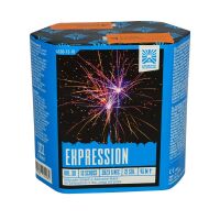 Expression 13-Schuss-Feuerwerk-Batterie