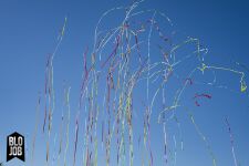 Colorful Airsnakes 80cm Papierstreamer bunt