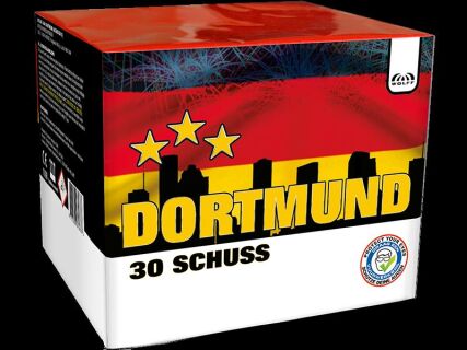 Dortmund 30-Schuss-Feuerwerk-Batterie