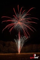 Pine Barrens 21-Schuss-Feuerwerk-Batterie