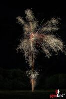 Pine Barrens 21-Schuss-Feuerwerk-Batterie