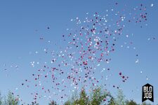 Herz über Kopf small Papierflitter weiß-pink-rot Herzen