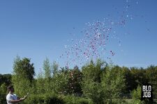 Herz über Kopf small Papierflitter weiß-pink-rot Herzen