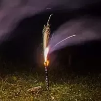 Jetzt Bengal 180 Weiß 3min ab 4.99€ bestellen