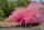 Power Smoke Pink 60s