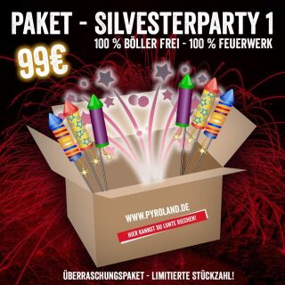 Silvesterparty 1