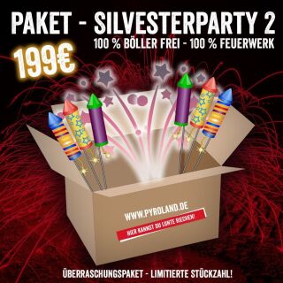 Silvesterparty 2